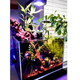 Nano Pixel LED Bundle