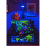 Pixel LED Bundles All Sizes