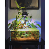 Illumagic Pixels