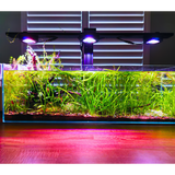 Illumagic Pixels
