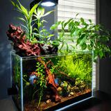 Illumagic Pixel Aquascaper