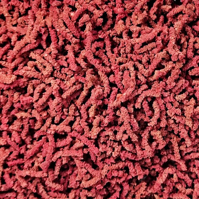 Shrimp Food Spectrum Red