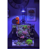 Pixel LED Bundles All Sizes