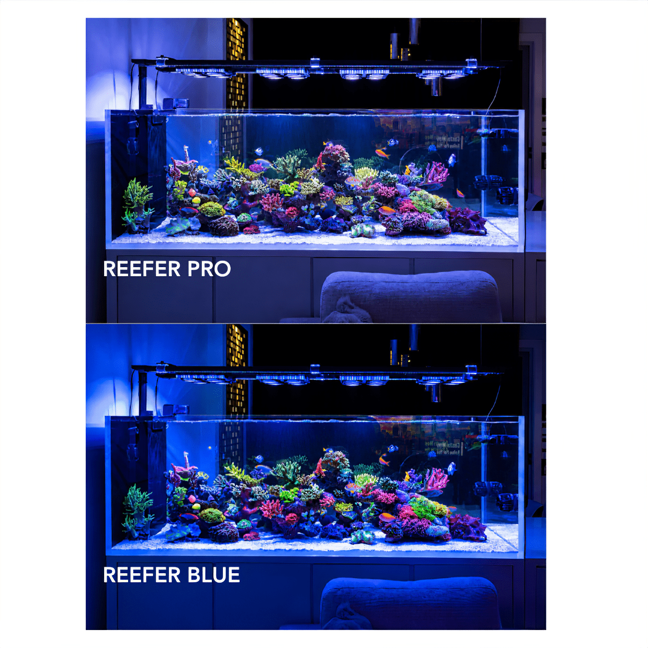 X4 Beast Mode SPS Reef Lighting Bundle