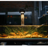 Pixel LED Bundles All Sizes