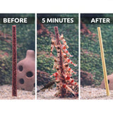 Trigger natural feeding behaviour in minutes — without polluting your tank.