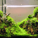 TINI WRGB Aquarium Light