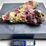 Australian Coral Sea Premium Branch Rock- WYSIWYG (Free 2 day shipping!)