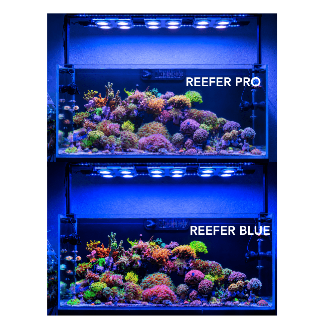 X4 Beast Mode SPS Reef Lighting Bundle
