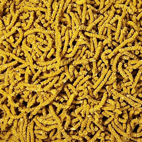 Shrimp Food Spectrum Gold