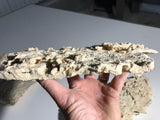 MarcoRocks Premium Shelf Rock- Loose, 20, or 40 lb box (Natural)